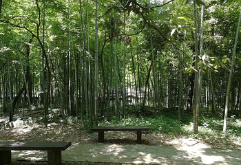 玉女潭景区第 22 张图片