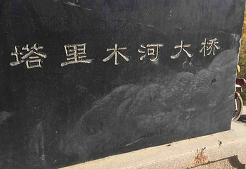 塔里木河大桥第 7 张图片