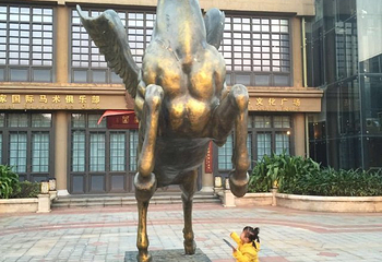 海南鸿洲皇家马术俱乐部第 7 张图片