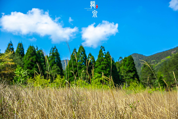 瓯江源景区第 19 张图片