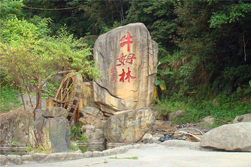 牛姆林生态旅游区第 44 张图片
