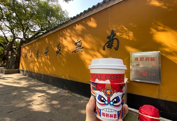 舟山市普陀山风景区-紫竹林第 11 张图片