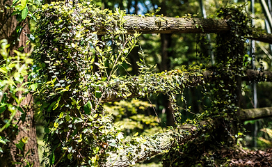 宁海湾横山岛景区第 29 张图片