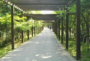苏州旺山九龙潭风景区第 20 张图片