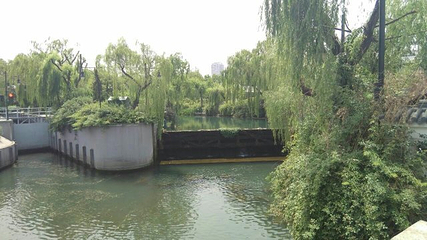 大明湖海底世界第 46 张图片