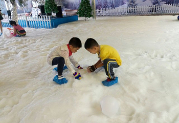 飘雪世界第 16 张图片