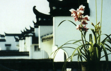 兰花村第 8 张图片