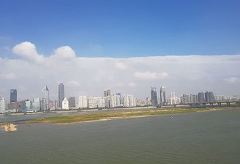 八一公园第 27 张图片