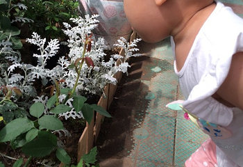 北大荒鹤城鲜花港第 26 张图片