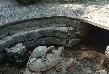 中华三祖圣地黄帝城遗址文化旅游区第 21 张图片
