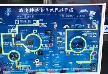 威海神游海洋世界第 68 张图片