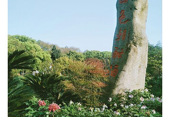 牡丹园第 6 张图片