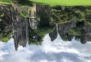 西山森林公园景区第 18 张图片