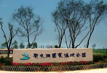 衡水湖旅游景区第 49 张图片