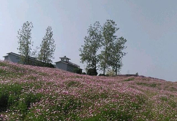 云幽谷旅游区第 18 张图片