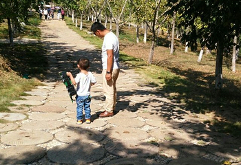 安陆钱冲古银杏生态旅游区第 34 张图片