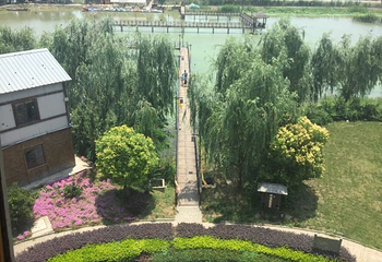 高邮湖芦苇荡湿地公园第 39 张图片