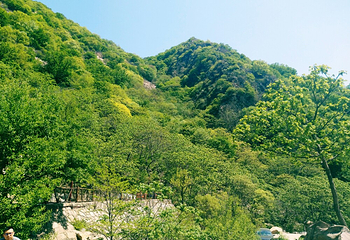 梨木台第 30 张图片