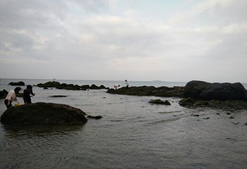 沙扒湾第 41 张图片