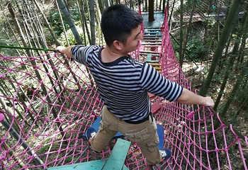 梅岭太阳谷大型梅花文化节第 34 张图片