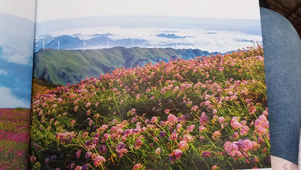 天上花海景区第 11 张图片