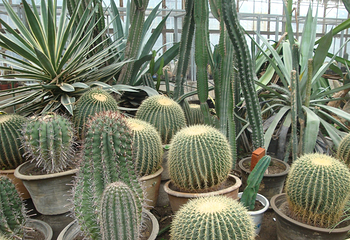国家植物园南园第 21 张图片