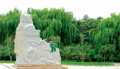 茶山牧场第 17 张图片