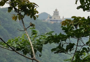 大洪山风景名胜区第 99 张图片