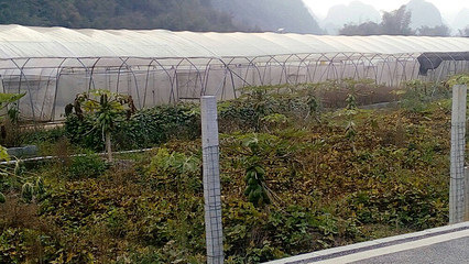 小都白村第 3 张图片