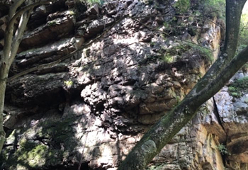 九龙潭景区（青松岭大峡谷）第 8 张图片