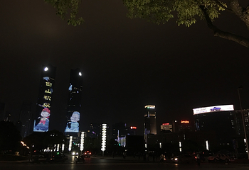 新八一大桥第 24 张图片