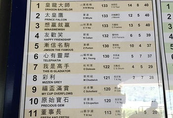 沙田马场第 45 张图片