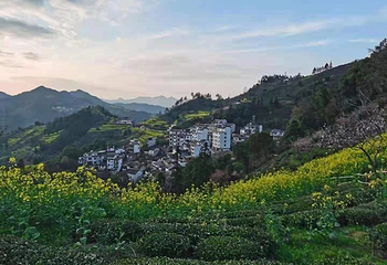 芙蓉谷第 32 张图片