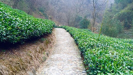 红石谷风景区第 16 张图片