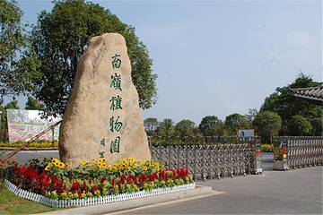 南岭植物园第 17 张图片