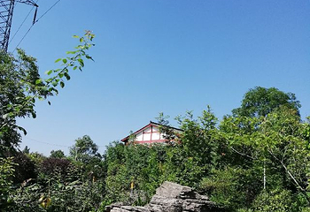 中华蝴蝶生态城第 25 张图片