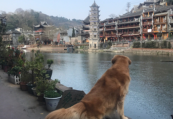 营盘寨第 13 张图片