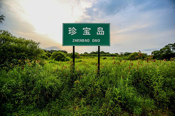 珍宝岛第 16 张图片
