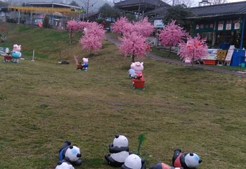 四川绵竹九龙滑草场第 30 张图片