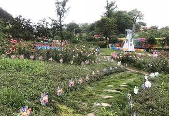 重庆歌乐山桃花谷第 15 张图片