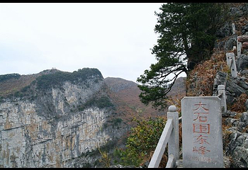 大石围天坑群第 49 张图片