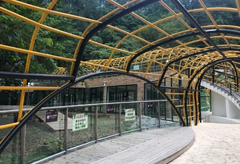 佛坪熊猫谷旅游区第 39 张图片