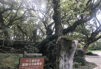 慧济禅寺第 22 张图片