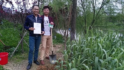 洋湖湿地公园第 46 张图片