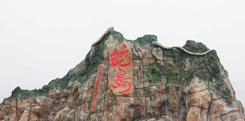 蛇岛第 7 张图片