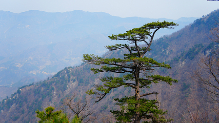 大别山主峰景区白马尖第 64 张图片