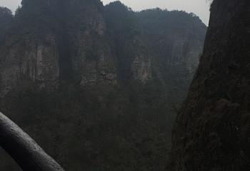 硅化木地质公园第 5 张图片