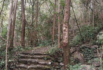 三爪仑观音岩第 7 张图片