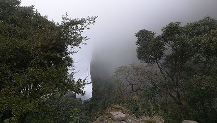 金秀圣堂山景区第 26 张图片