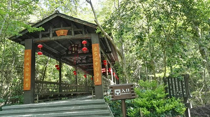 三爪仑观音岩第 17 张图片